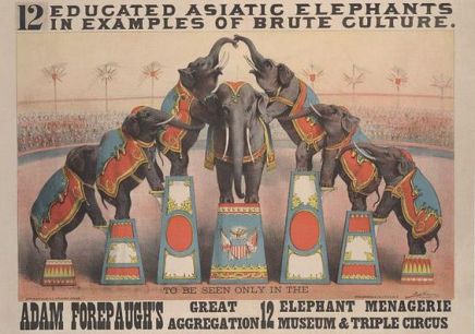 62405cdbf7b2a932f8e69a58e2babc4e