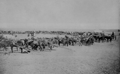 Supply-ca1871-1154x720